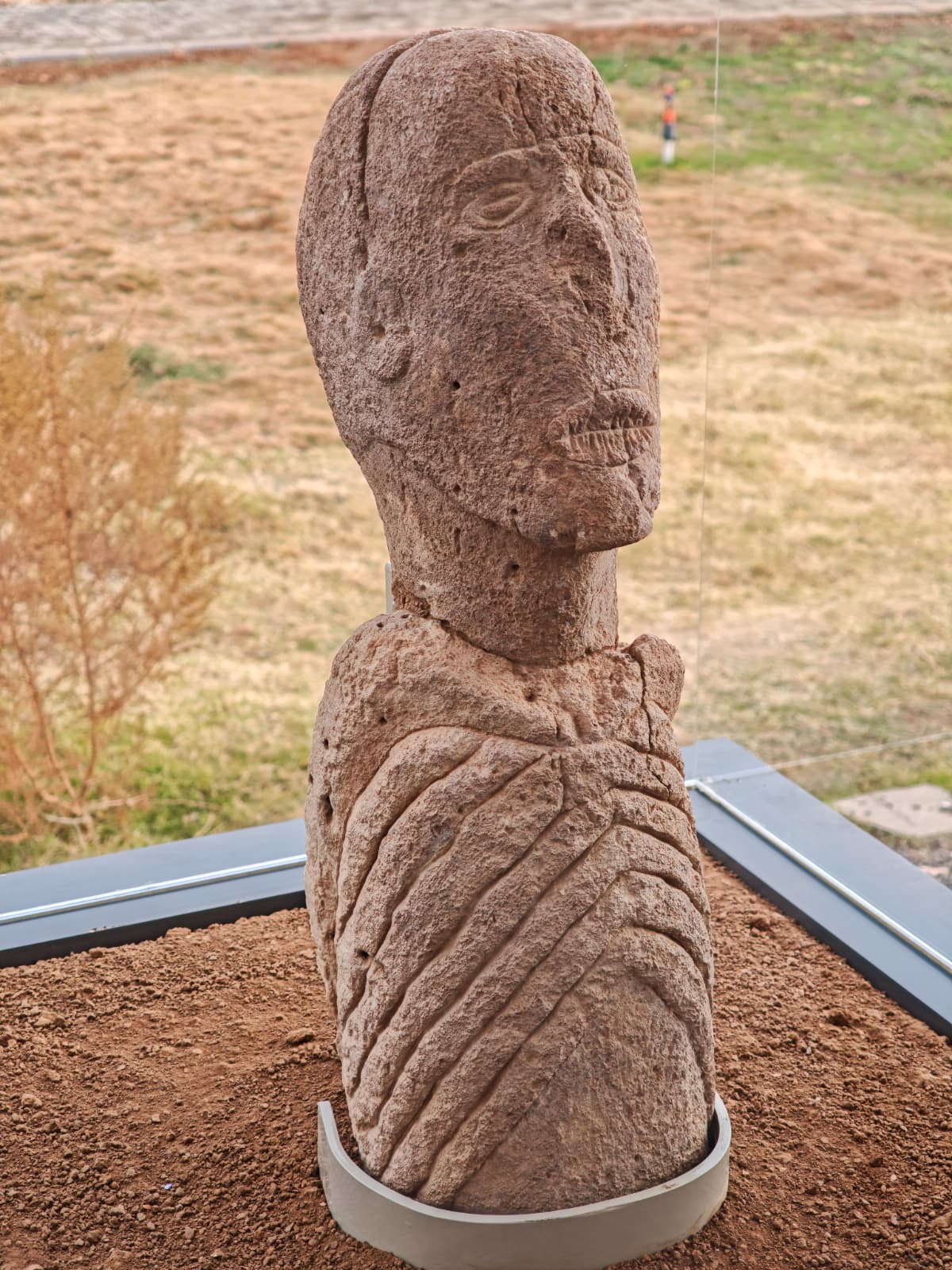 Whatsapp Image 2025 11 26 At 13.12.15