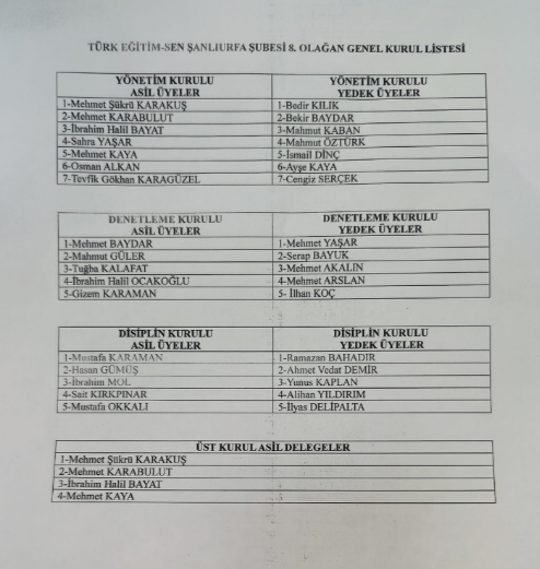 Yönetim Kurulu Türk Eğitim Sen