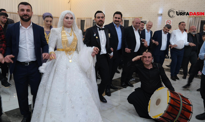 Düğün Kemal Ülkü Kaymakam