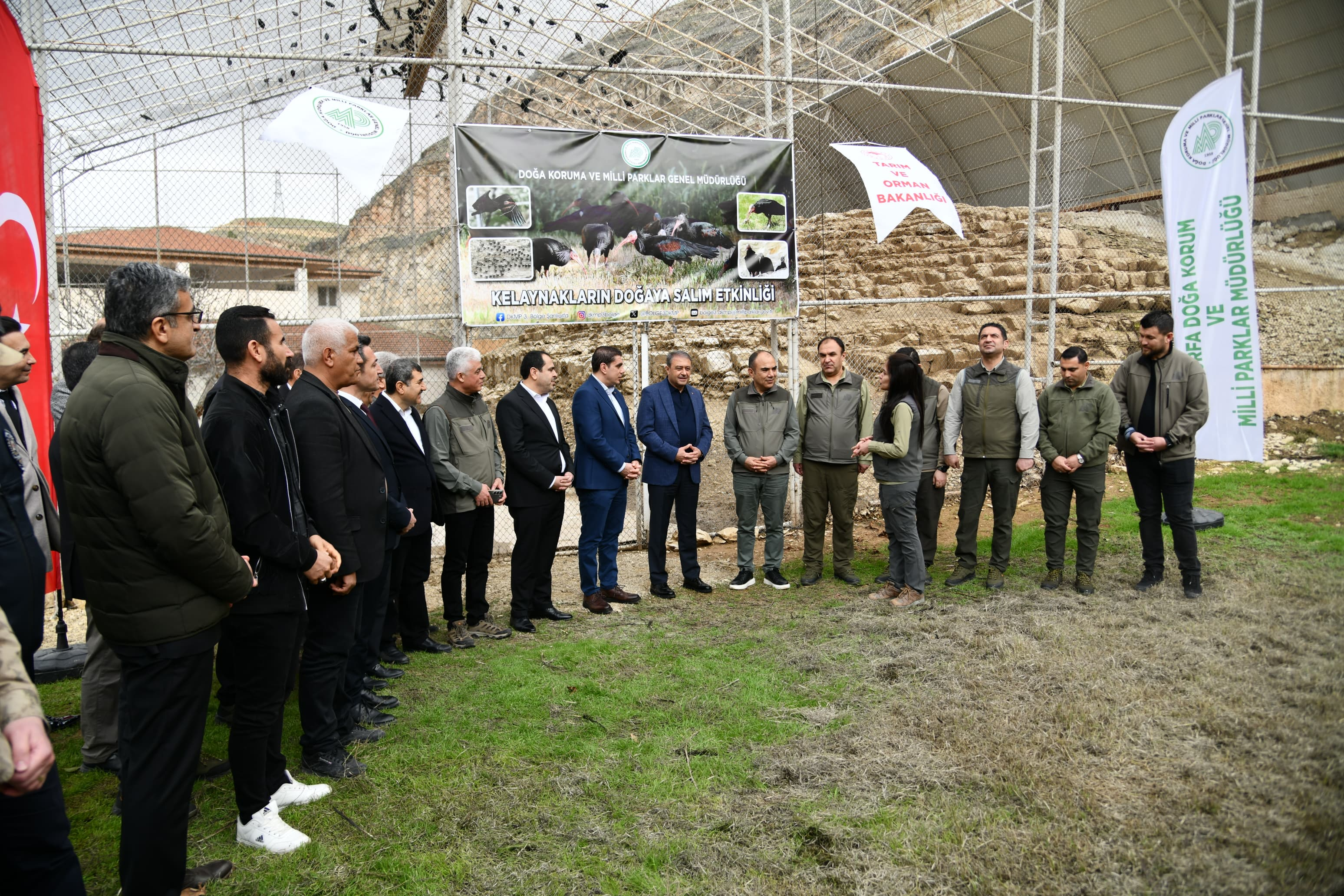 H B Hy Wp Wk A A J R J O