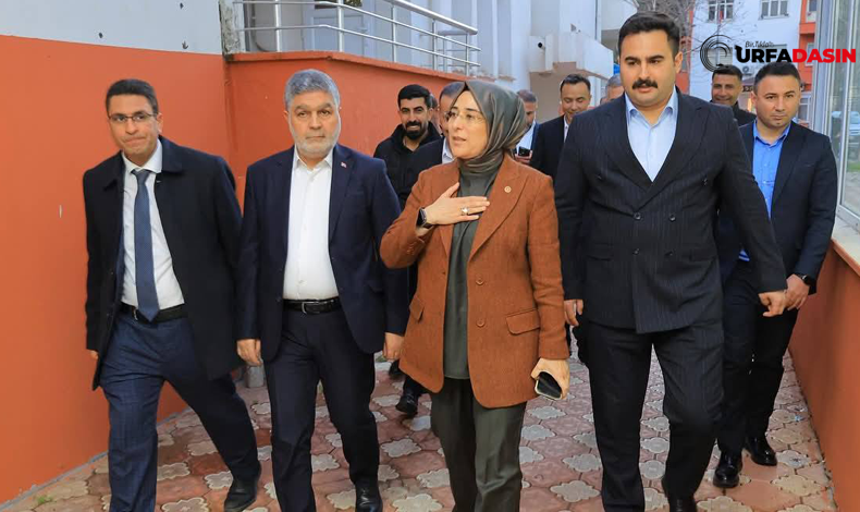 Cevahir Asuman Viranşehir Osb