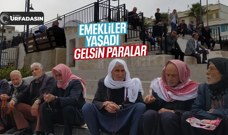EKONOMİ