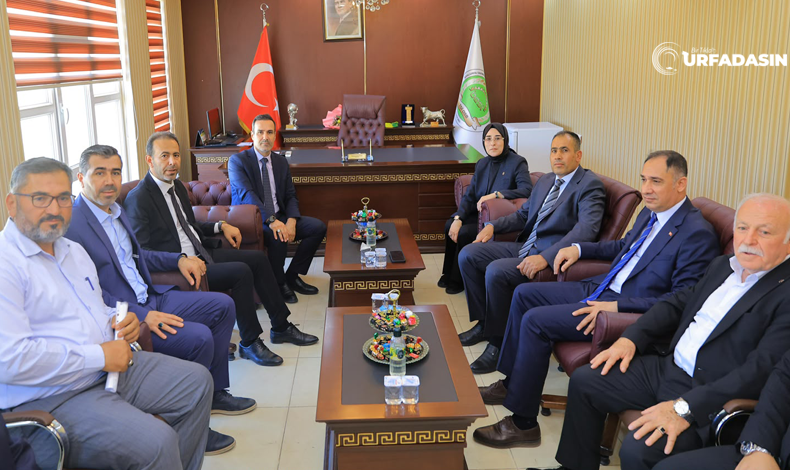 Yazmacı Stk Başkanalrı