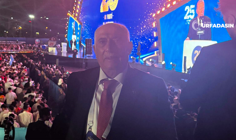 Akyürek Atom Karınca