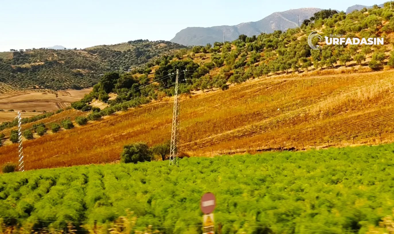 Ispanya Arazi