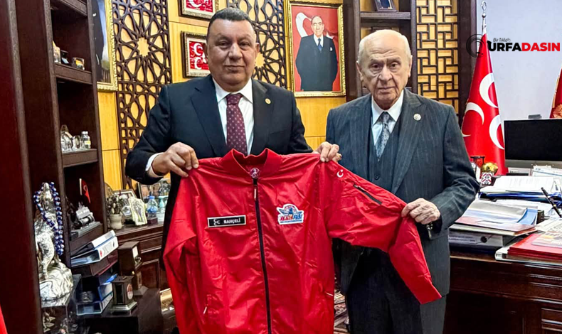 SİYASET