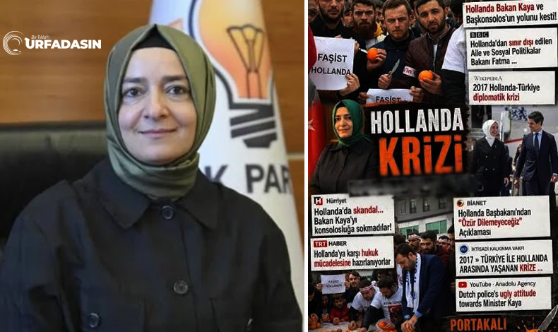 SİYASET