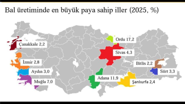 Bal Üreten Iller