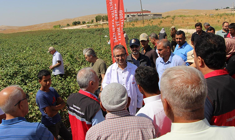 Şanlıurfa'da “Çiftçi Tarla Okulu Programı” Düzenlendi