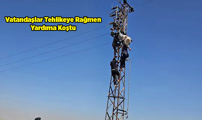 Şanlıurfa'da Korku Dolu Anlar: Çıktığı Direkte Akıma Kapılarak Asılı Kaldı