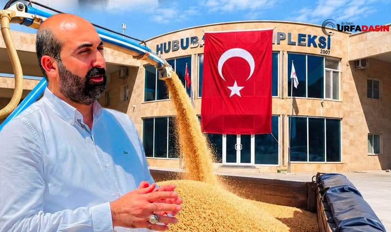 EKONOMİ