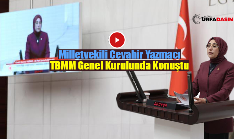 SİYASET